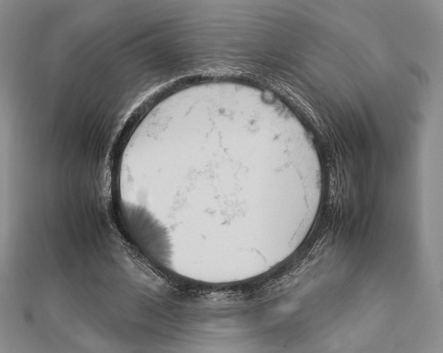 X0000112870584200908211031