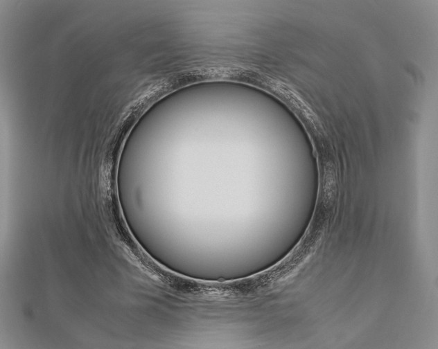 X0000112870585200908211031