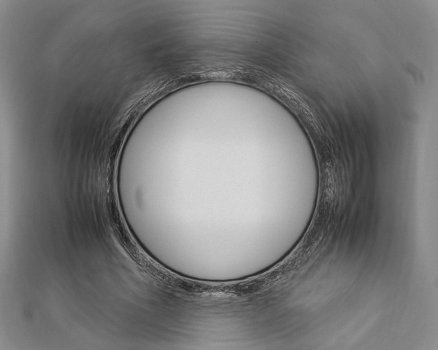 X0000112870586200908211031