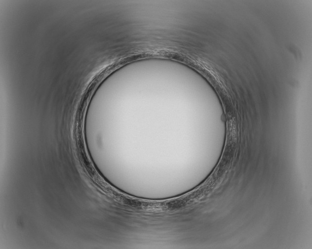 X0000112870587200908211031