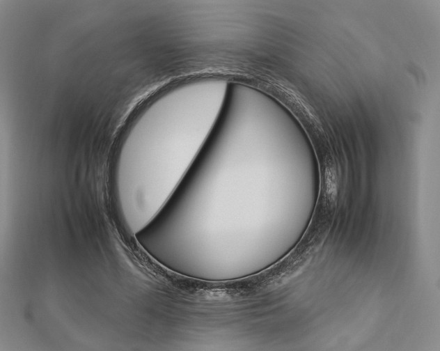 X0000112870588200908211031