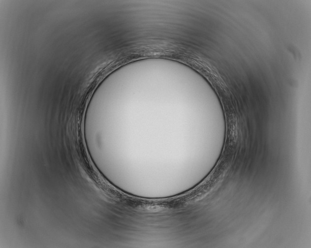 X0000112870590200908211031
