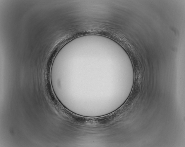 X0000112870591200908211031