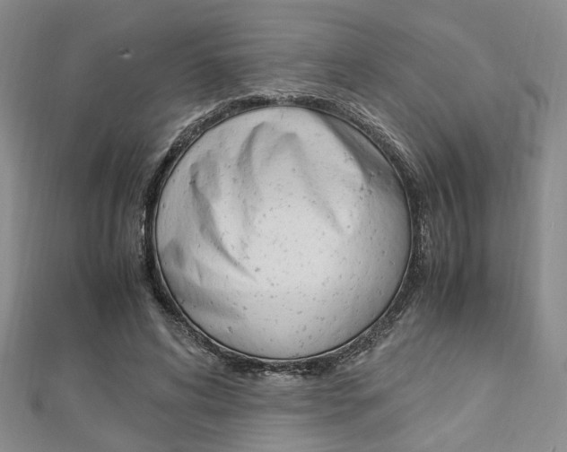 X0000112870592200908211031
