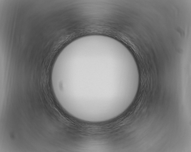 X0000112870593200908211031