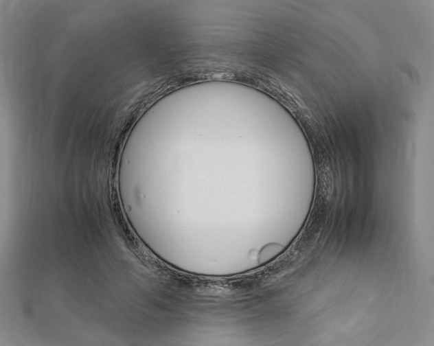 X0000112870594200908211031