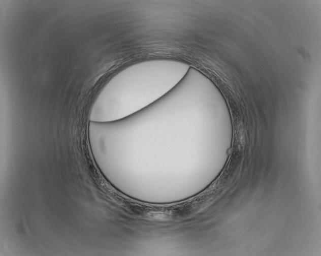 X0000112870595200908211031
