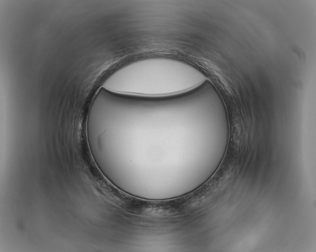 X0000112870596200908211031