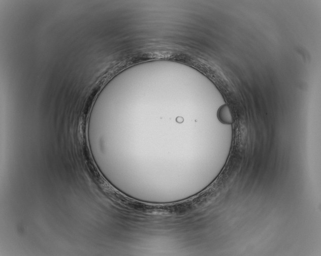 X0000112870598200908211031