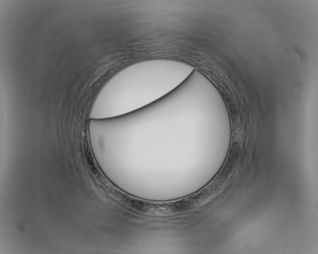 X0000112870599200908211031