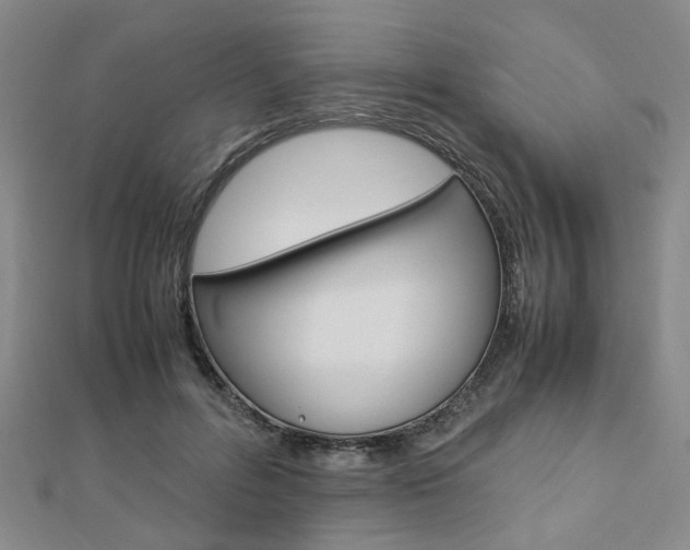 X0000112870600200908211031