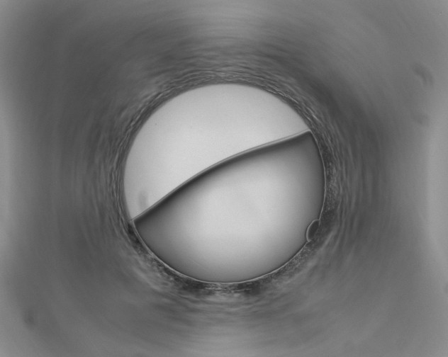 X0000112870601200908211031