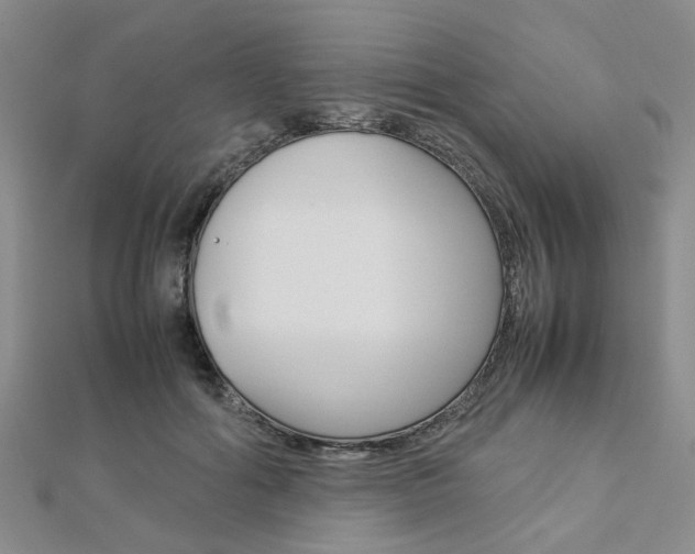 X0000112870602200908211031