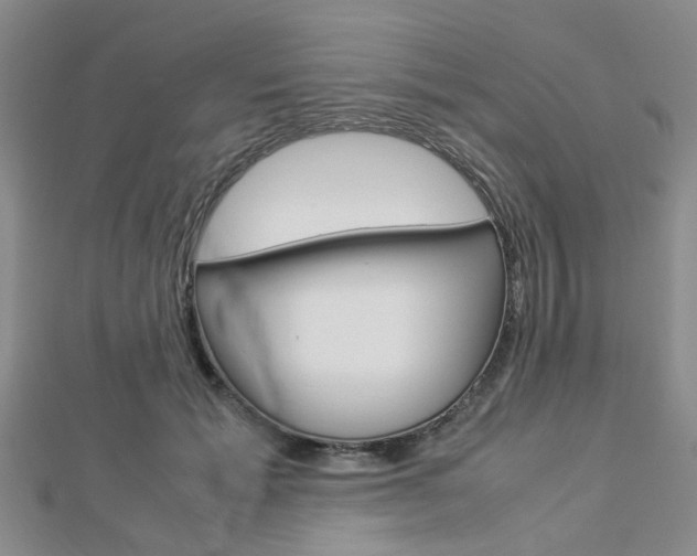 X0000112870605200908211031
