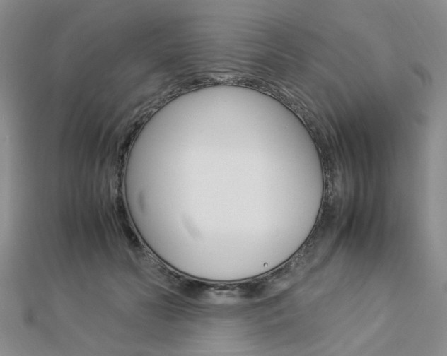 X0000112870606200908211031