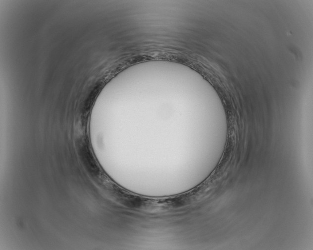 X0000112870607200908211031