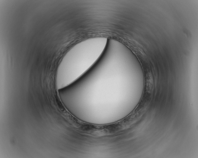 X0000112870608200908211031