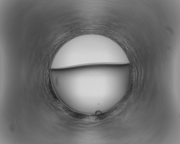 X0000112870609200908211031