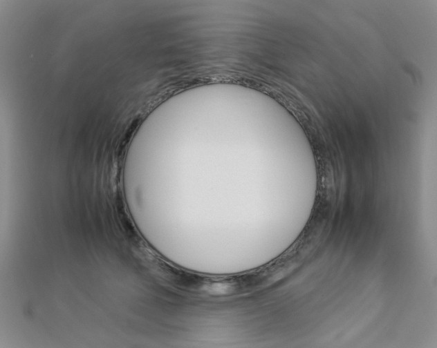 X0000112870610200908211031