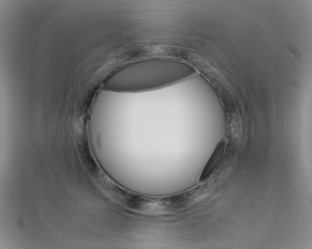X0000112870611200908211031