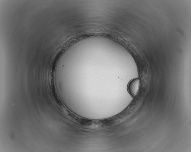 X0000112870612200908211031
