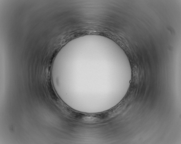 X0000112870614200908211031