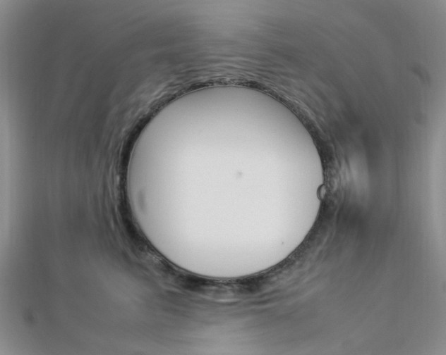 X0000112870615200908211031