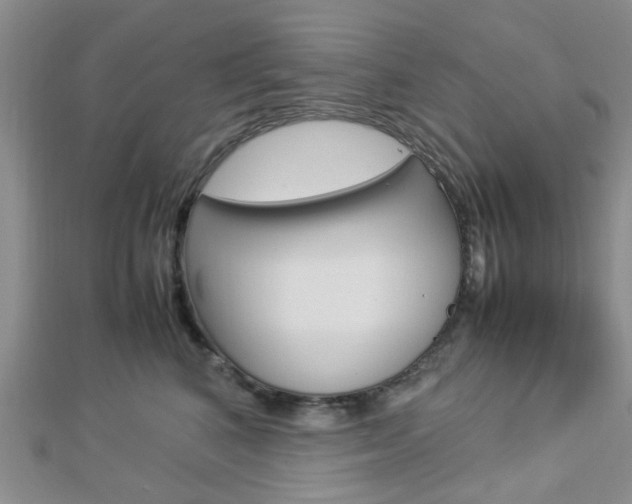 X0000112870616200908211031