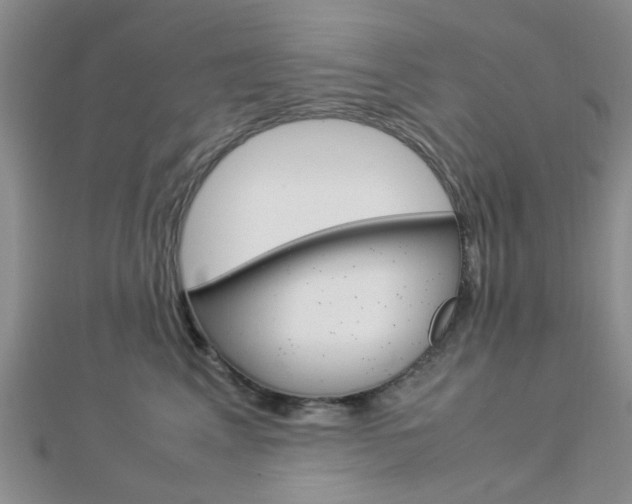 X0000112870617200908211031