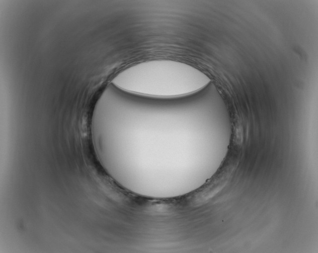 X0000112870620200908211031