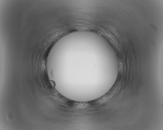 X0000112870621200908211031