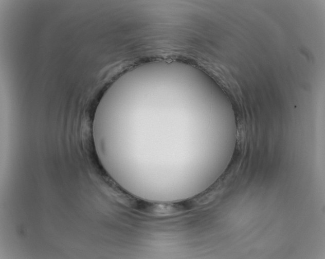 X0000112870623200908211031