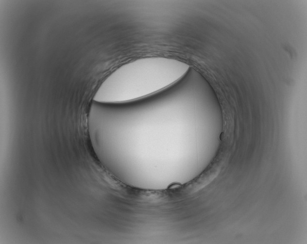 X0000112870624200908211031