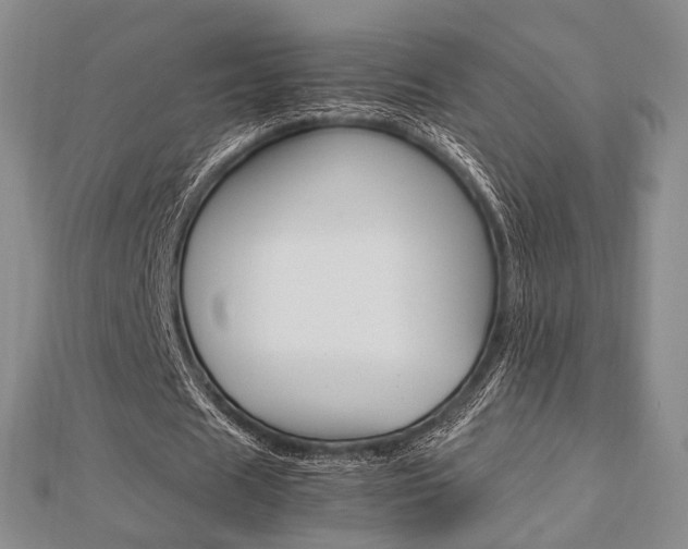 X0000112870625200908211030