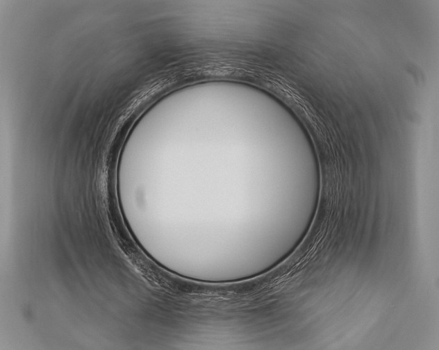 X0000112870626200908211030
