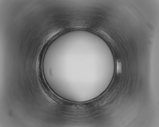 X0000112870627200908211030