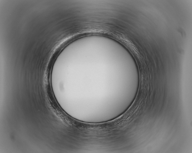 X0000112870628200908211030