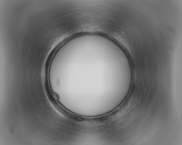 X0000112870630200908211030