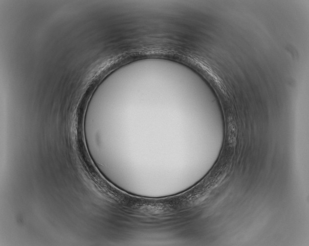 X0000112870631200908211030