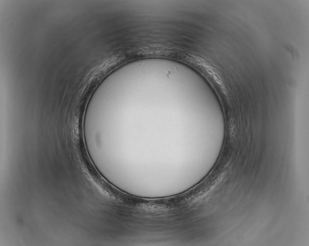 X0000112870633200908211030