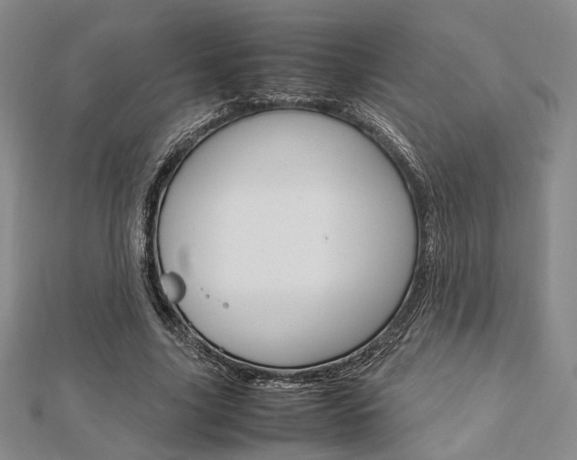 X0000112870635200908211030