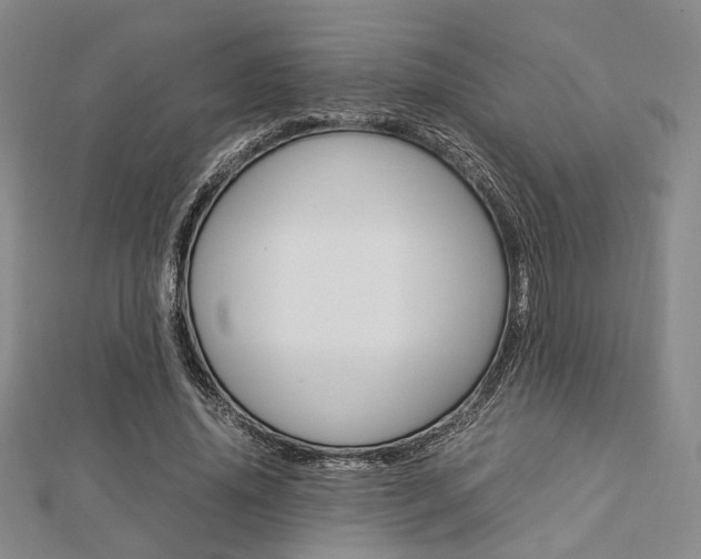 X0000112870636200908211030