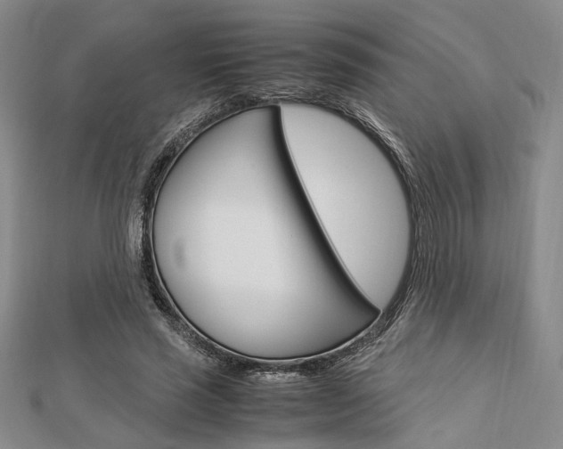 X0000112870637200908211030