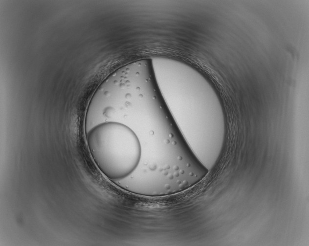 X0000112870639200908211030