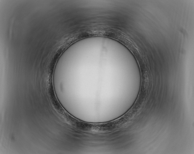 X0000112870641200908211031