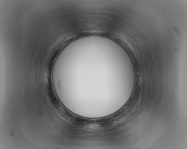 X0000112870643200908211031
