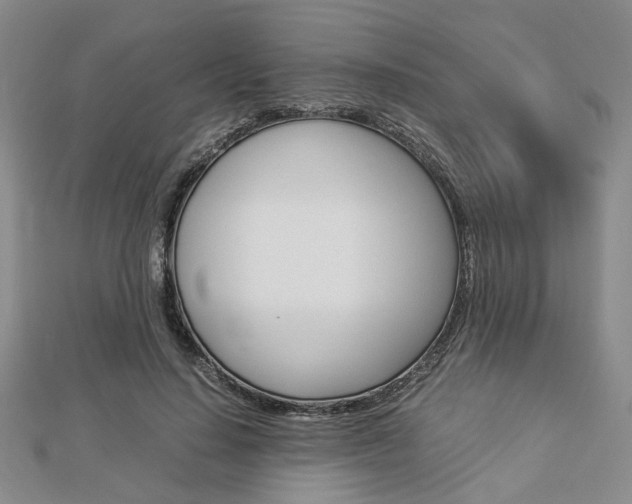 X0000112870644200908211031