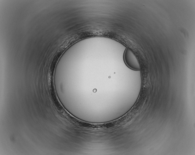 X0000112870646200908211031