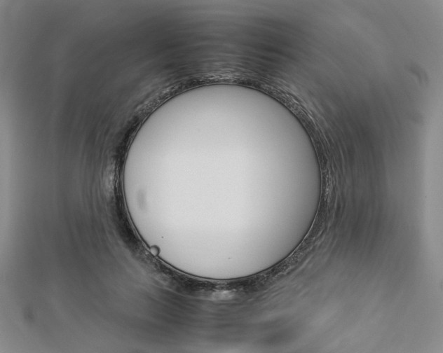 X0000112870647200908211031