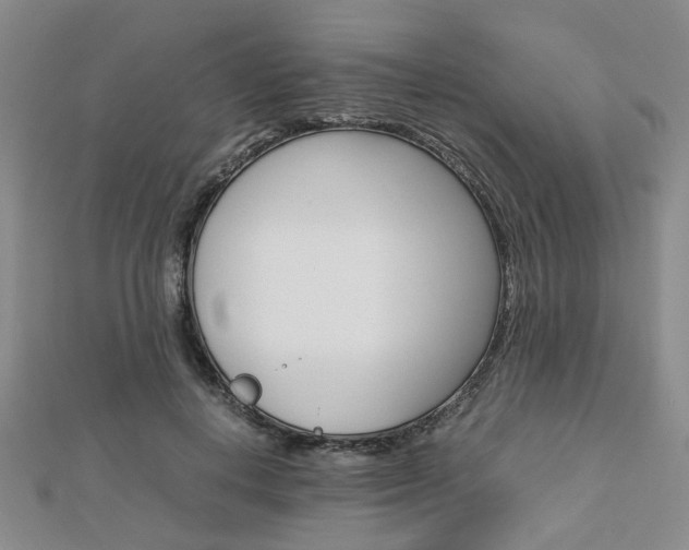 X0000112870648200908211031